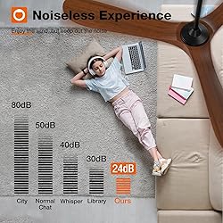 addlon Ceiling Fans, 60 Inch Indoor/Outdoor Ceiling