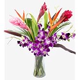 Fresh Orchids and Tropical Flower Bouquet, Purple Orchids, Red Ginger, Heliconia, Mixed Foliage, Hawaiian - PRIME QUALITY - Perfect for Birthdays, Valentine's Day, Mother's Day, Anniversaries, etc.