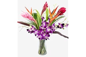 GENERIC Fresh Orchids and Tropical Flower Bouquet, Purple Orchids, Red Ginger, Heliconia, Mixed Foliage, Hawaiian - PRIME QUALITY - Perfect for Birthdays, Easter, Mother's Day, Anniversaries, Gifts, etc.