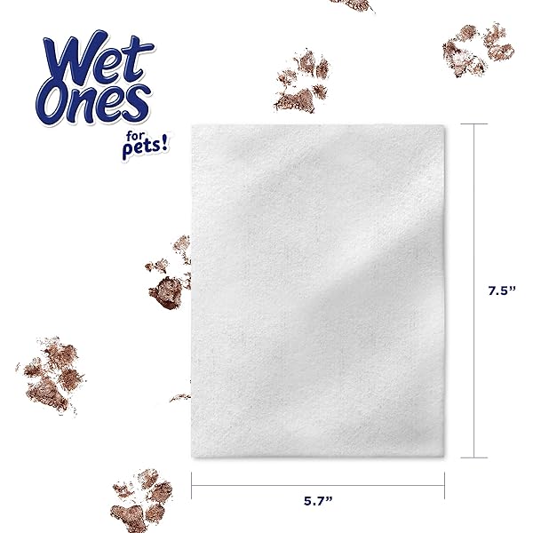 WET ONES FOR CATS FRESHENING WIPES, MULTI-PURPOSE CAT GROOMING WIPES WITH ALOE VERA, HELPS REMOVE DIRT, ODOR, AND DANDER BETWEEN BATHS, FRESH SCENT, 50 COUNT