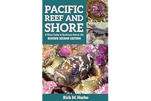 Pacific Reef and Shore: A Photo Guide to Northwest Marine Life