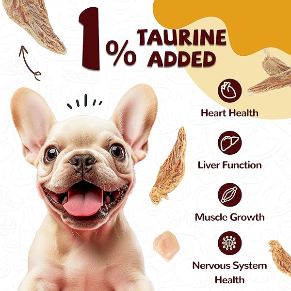 PAWUP CHICKEN JERKY DOG TREATS, LOWER MOISTURE CONTENT, HEALTHY PREMIUM CHEWY DOG JERKY TREATS, 10.6 OZ