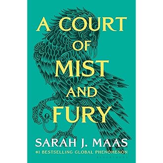 A Court of Thorns and Roses - View 8