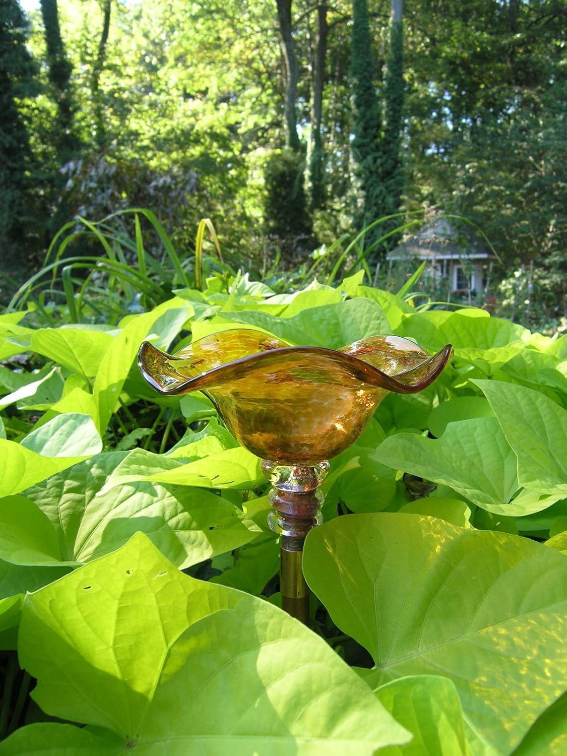 Amazon Com Andrew Holmberg Copper Hand Blown Glass Butterfly