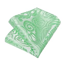 DiBanGu Silk Paisley Ties for Men Woven Necktie and