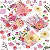 Dried Flowers, Resiners 100Pcs Pressed Flowers for