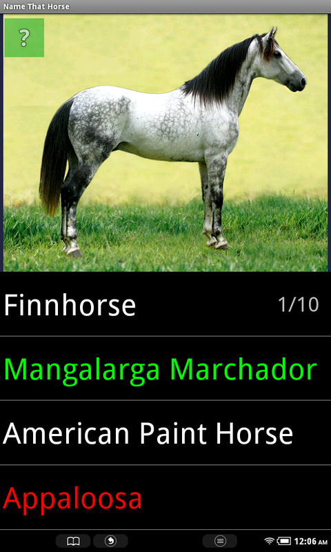 Name That Horse Breed - Thumbnail 3
