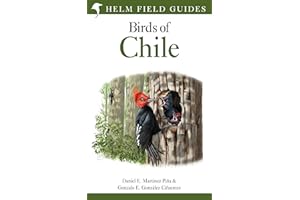 Field Guide to the Birds of Chile