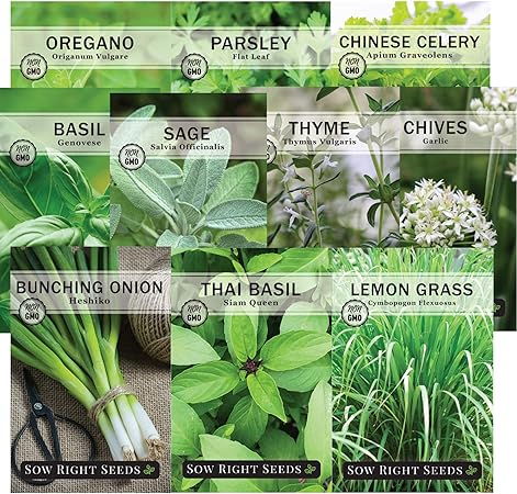 Non Gmo Heirloom Instructions To Plant And Grow A Kitchen Herb Garden 1 Indoor Or Outdoor