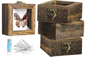 Reallnaive 4 Pcs Insect Pinning Kit 4 inch Wooden Display Case Box, EVA Foam Insect Pinning Board, 100 Bug Pins for Butterfly Specimen Bugs Collection Tools(Carbonized Brown)