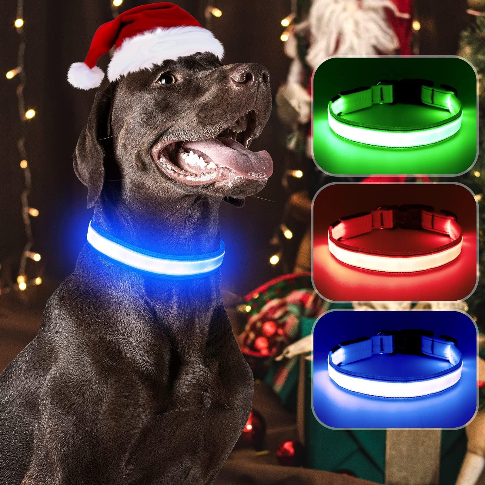 Visinite LED Dog Collar USB Rechargeable, Reflective Light Up Pet Collar for Night Walking, Adjustable Glow Collar for Small Medium Large Dogs (Blue, M)