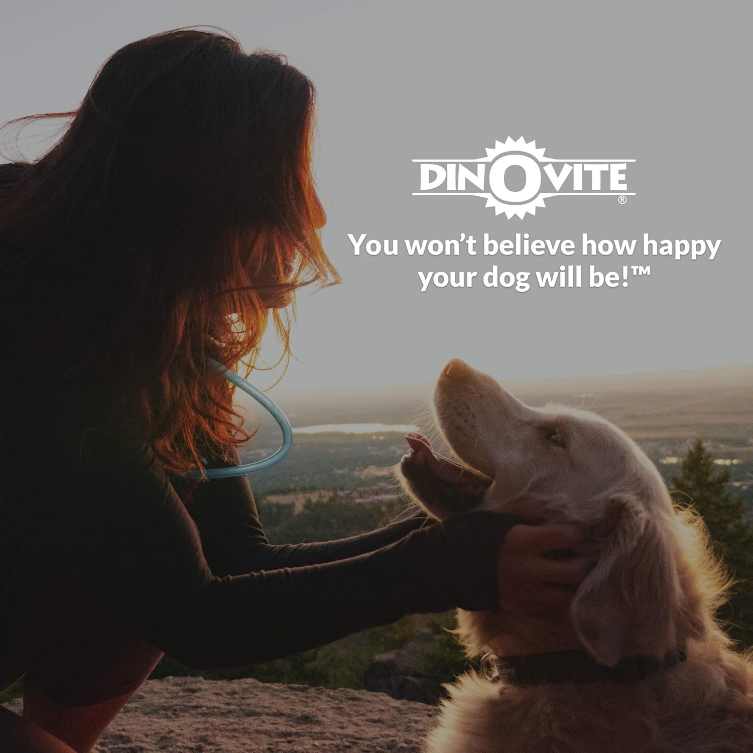 dinovite reviews amazon