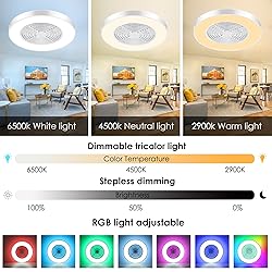 KAMLAM 24" Low Profile Ceiling Fans with