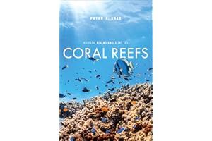 Coral Reefs: Majestic Realms under the Sea