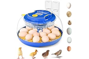 RAY METAL 18-36 Eggs Incubators for Hatching Eggs with Automatic Egg Turning and Humidity Control, for Chicken, Duck, Quail, Goose, Parrot Eggs - 360° View for Farm, Classroom, Home Use