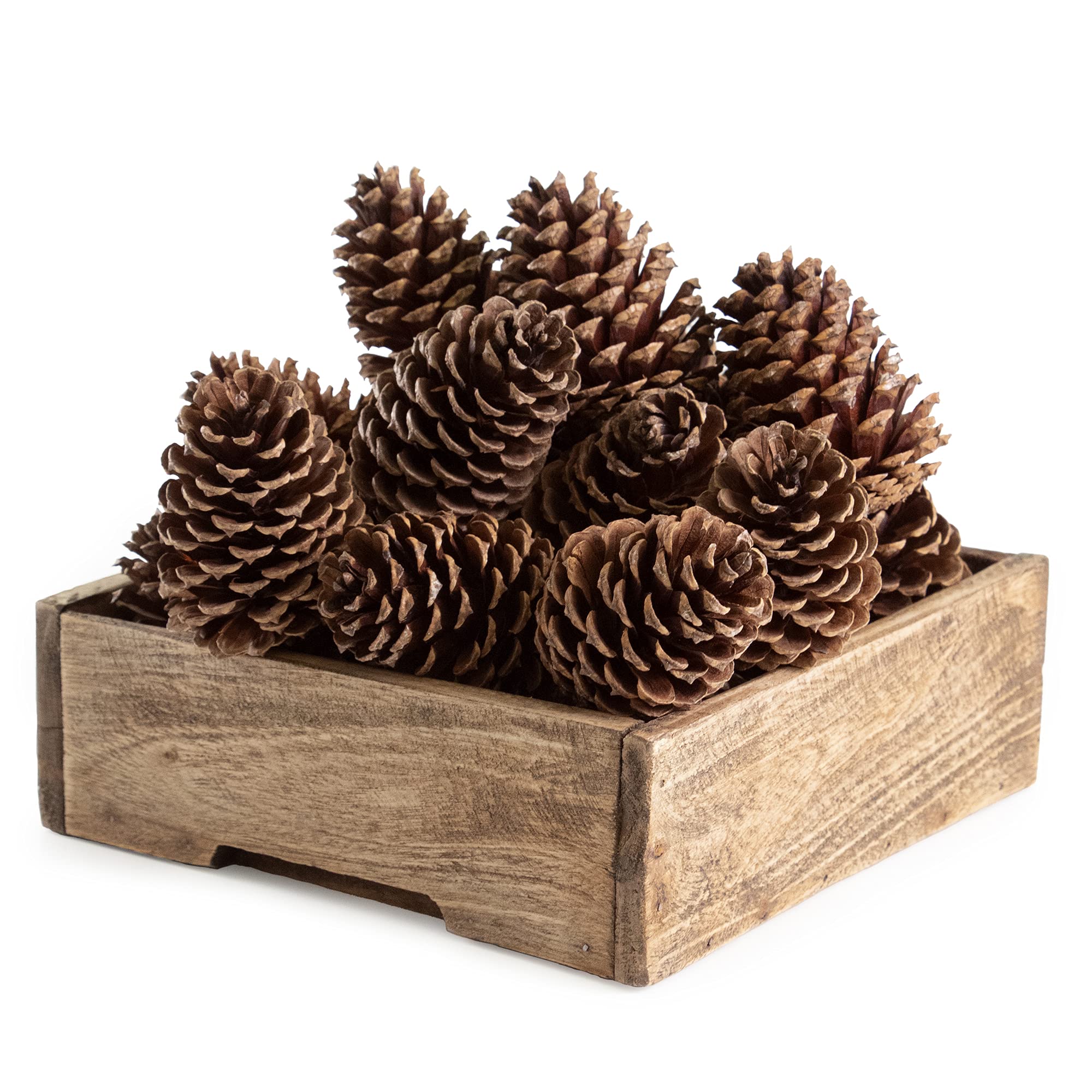 ANDALUCA Pinecone Vase & Bowl Fillers | Scented Pine Cones Decor (Natural)