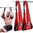 DMoose Fitness Hanging Ab Straps for Pull Up Bar & Core Strength Training - Thick Padded Arm Strap for Ab Swing with 2 Rust-Resistant Carabiners - Pull Up Straps for Abs Workout at Home and Gym (Pair)