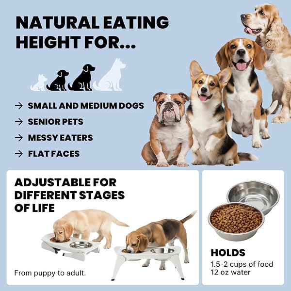 MALSIPREE ELEVATED DOG BOWLS FOR SMALL DOGS – 6.5″ RAISED DOG BOWL STAND WITH SPLASH GUARD – PORTABLE FOLDING PET FEEDING STATION WITH 2 STAINLESS STEEL BOWLS – TRAVEL ROAD TRIP FOLDABLE COLLAPSIBLE