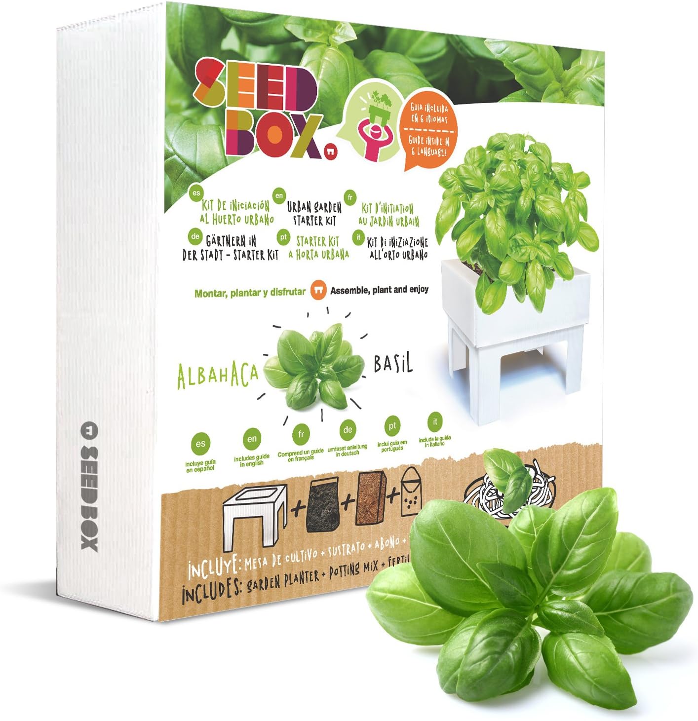 SeedBox SBMCUAL Huerto urbano Cultívame mini - albahaca, 17x4x17 ...