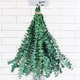 10 Pcs Dried Eucalyptus Stems, 17" Natural Eucalyptus for Shower Hanging | Real fresh, preserved plant leaves, eucalyptus branches for bathroom, vase, wedding, home decor, baby shower, DIY