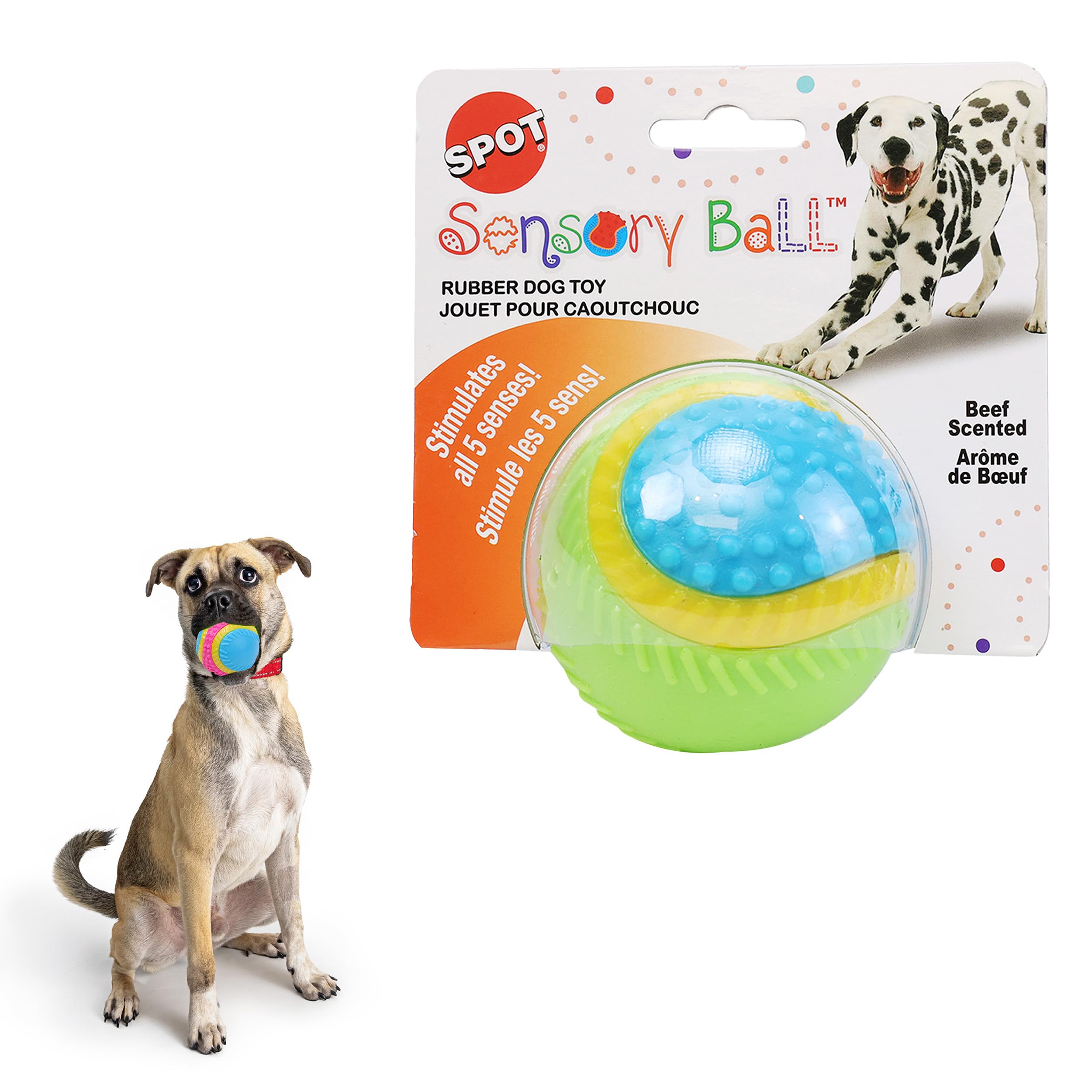 SPOT Sensory Ball for Soft Chewers - Stimulates All 5 Senses, Bell & Squeaker Sounds, Raised Nubs Clean Teeth, High Contrast Fetch Toy, Beef Scented, Durable TPR Rubber Ball, 3.25-inch