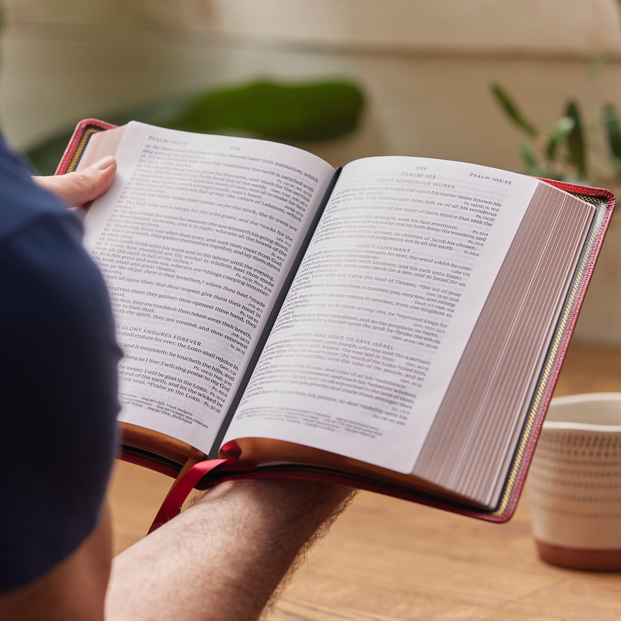 KJV Holy Bible: Large Print Single-Column with 43,000 End-of-Verse Cross References, Red Goatskin Leather, Premier Collection, Personal Size, Red Letter: King James Version KJV Holy Bible: Large Print Single-Column with 43,000 End-of-Verse Cross References, Red Goatskin Leather, Premier Collection, Personal Size, Red Letter: King James Version Leather Bound