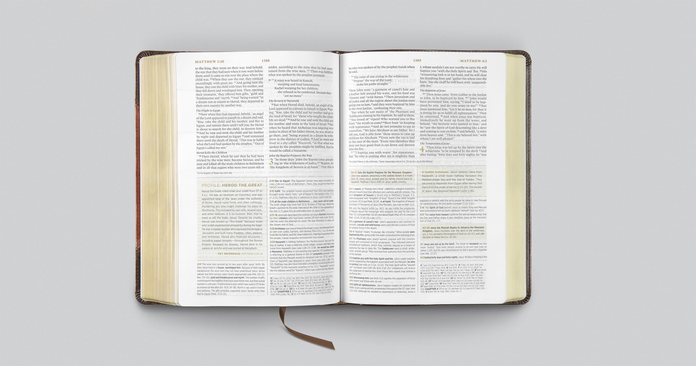 ESV Men's Study Bible (TruTone, Brown/Cordovan, Portfolio Design): Holy Bible, English Standard Version ESV Men's Study Bible (TruTone, Brown/Cordovan, Portfolio Design): Holy Bible, English Standard Version Imitation Leather