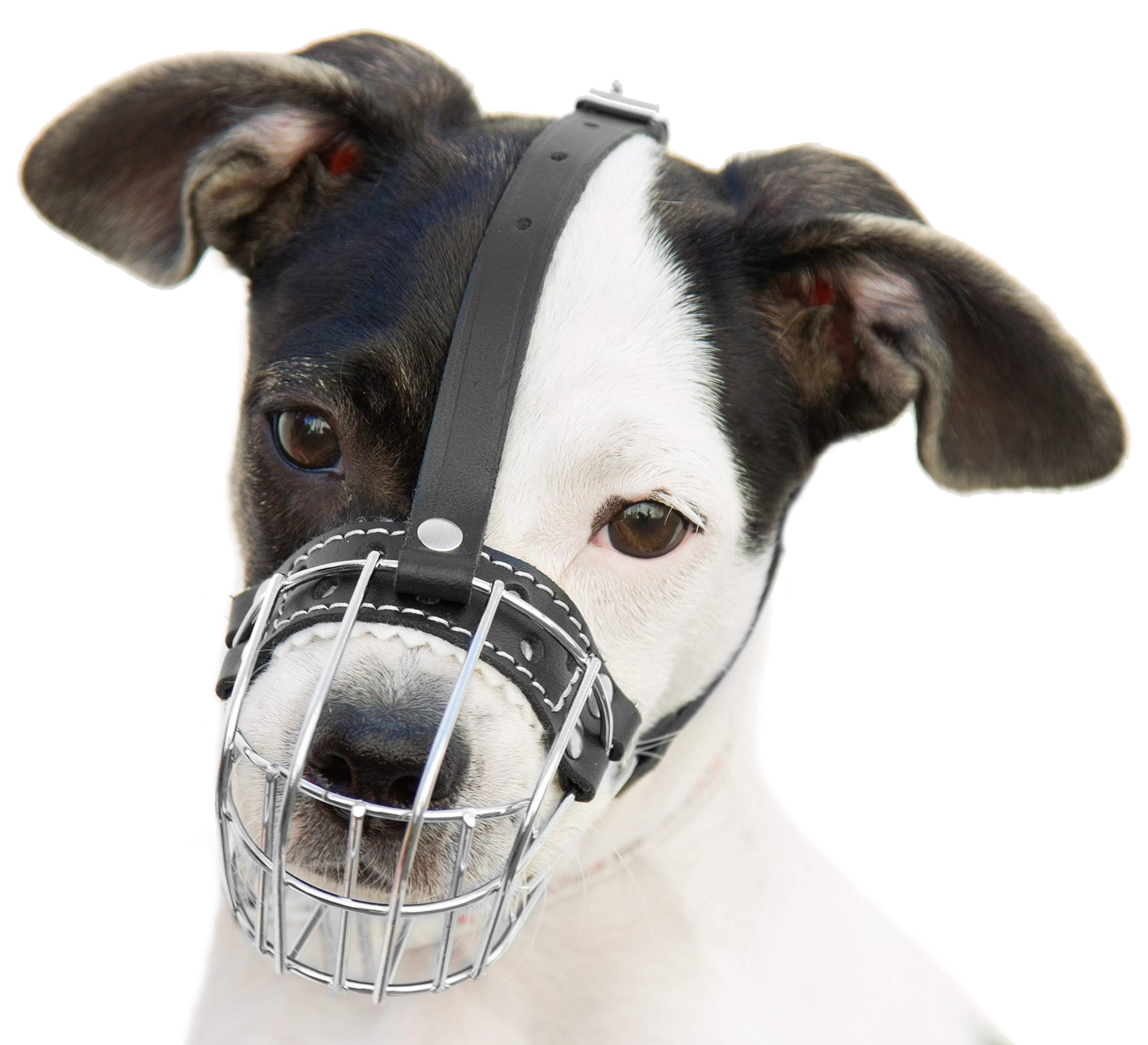 Photo 1 of ?0.5 Dog Chrome Metal Muzzles Wire Basket Adjustable Leather Straps ?ircumference is 6.6-8.2 in The Length is 1.9-2.3 in
