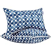 JMGBird Outdoor Throw Pillows Set of 2-12x20 Inch Water-Repellent Decorative Cushions for Patio Furniture, Garden Couch, Outdoor Living Spaces (Blue)