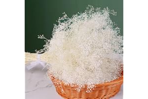 KOCEKO Mini Ivory Dried Baby's Breath Flowers Bulk - 2500+ Gypsophila Dry Flowers Bouquet(1.4oz), 100% Natural Preserved Baby Breath Flower Branches for Wedding, DIY Crafts, Vase, Floral Arrangement
