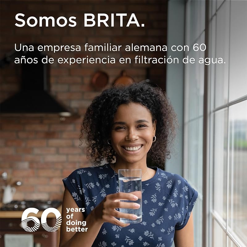ON TAP Pro sistema filtro agua grifo de cocina, 1x filtro V-MF (600L)