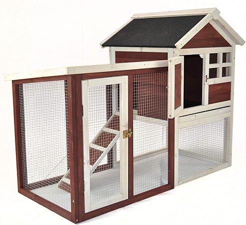 rabbit live in hutch