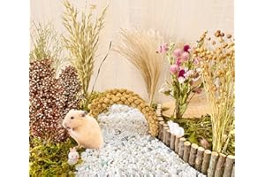 BONNEVIE Hamster Bedding, Natural Hamster Bedding Flowers Herbs Cereal Grain For House Cage Habitat Enclosure Decor- Hamster Chews for Gerbils Mouse Rat Lemming Degus Guinea Pig or Small Animal Bedding Pets