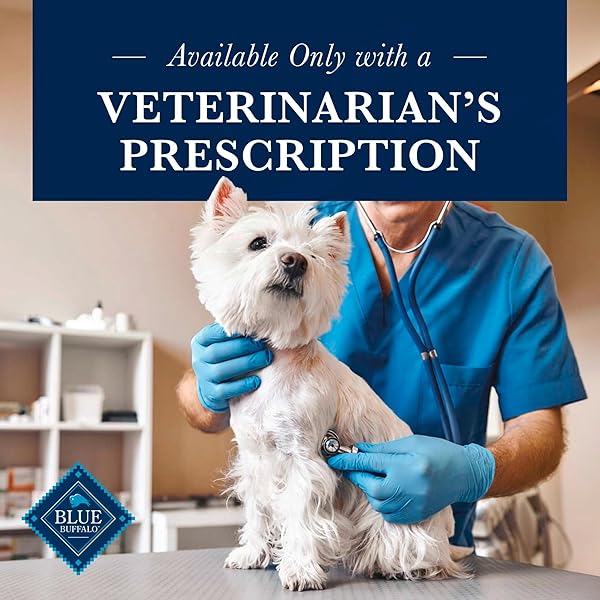 BLUE BUFFALO NATURAL VETERINARY DIET KS KIDNEY SUPPORT DRY DOG FOOD, CHICKEN 6-LB BAG