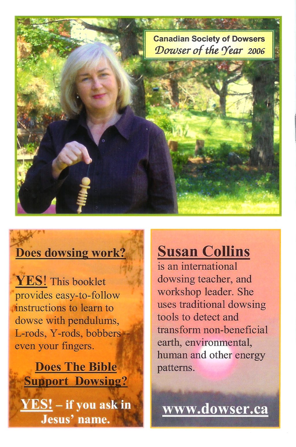 Use A Protocol To Get Results - Bible Edition (Dowsing That Works): Susan  Collins: 9780978089955: Books - Amazon.ca