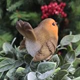 Vivid Arts Plant Pals Robin Plant Pal Garden Ornament PLP-102 view 3