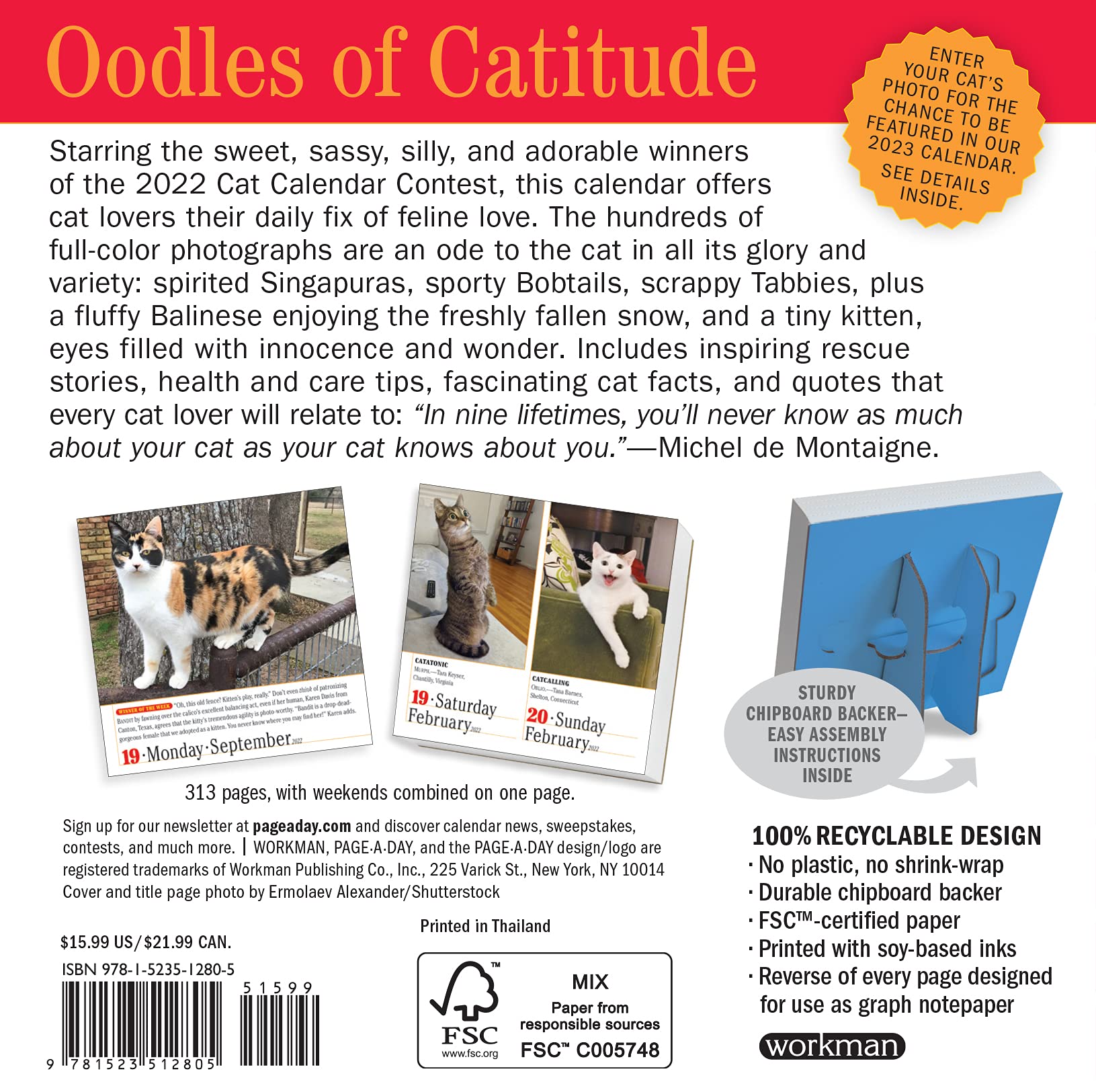 Canton Calendar 2023 365 Cats Page-A-Day Calendar 2022: The World's Favorite Cat Calendar :  Workman Calendars: Books