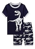 Family Feeling Baby Boys Dinosaur Pajamas Short