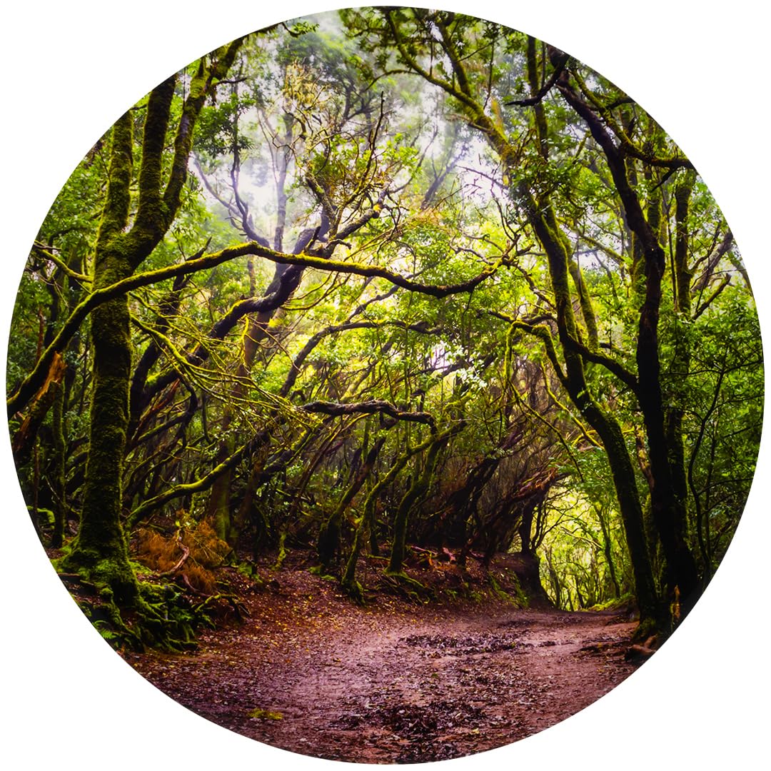 tickit Forest Discovery Play Mat – Sensory Toy Mat for Imaginative Woodland Adventures – Waterproof, Durable & Easy to Clean – Perfect for Sensory Exploration, Early Years Learning & Gifting