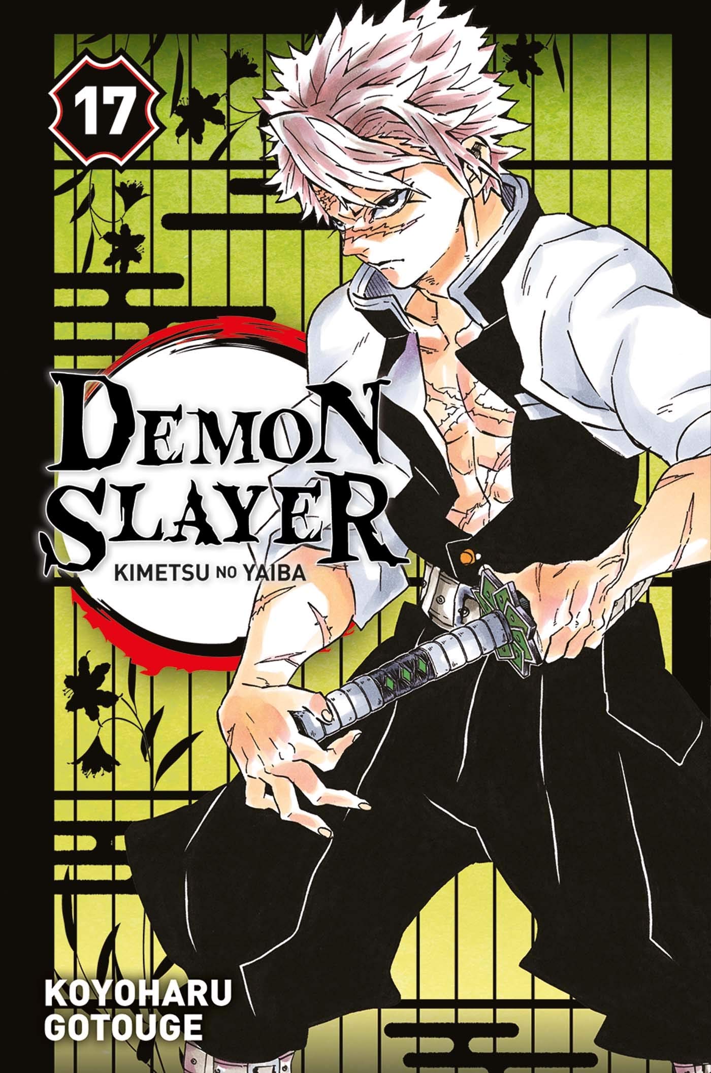 Amazon Com Demon Slayer T17 Gotouge Koyoharu Books