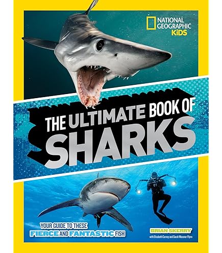 ★レア★THE WORLD MOST DANGEROUS SHARKS ポスター 51XC5zSVPZL.jpg_BO30,255,255,