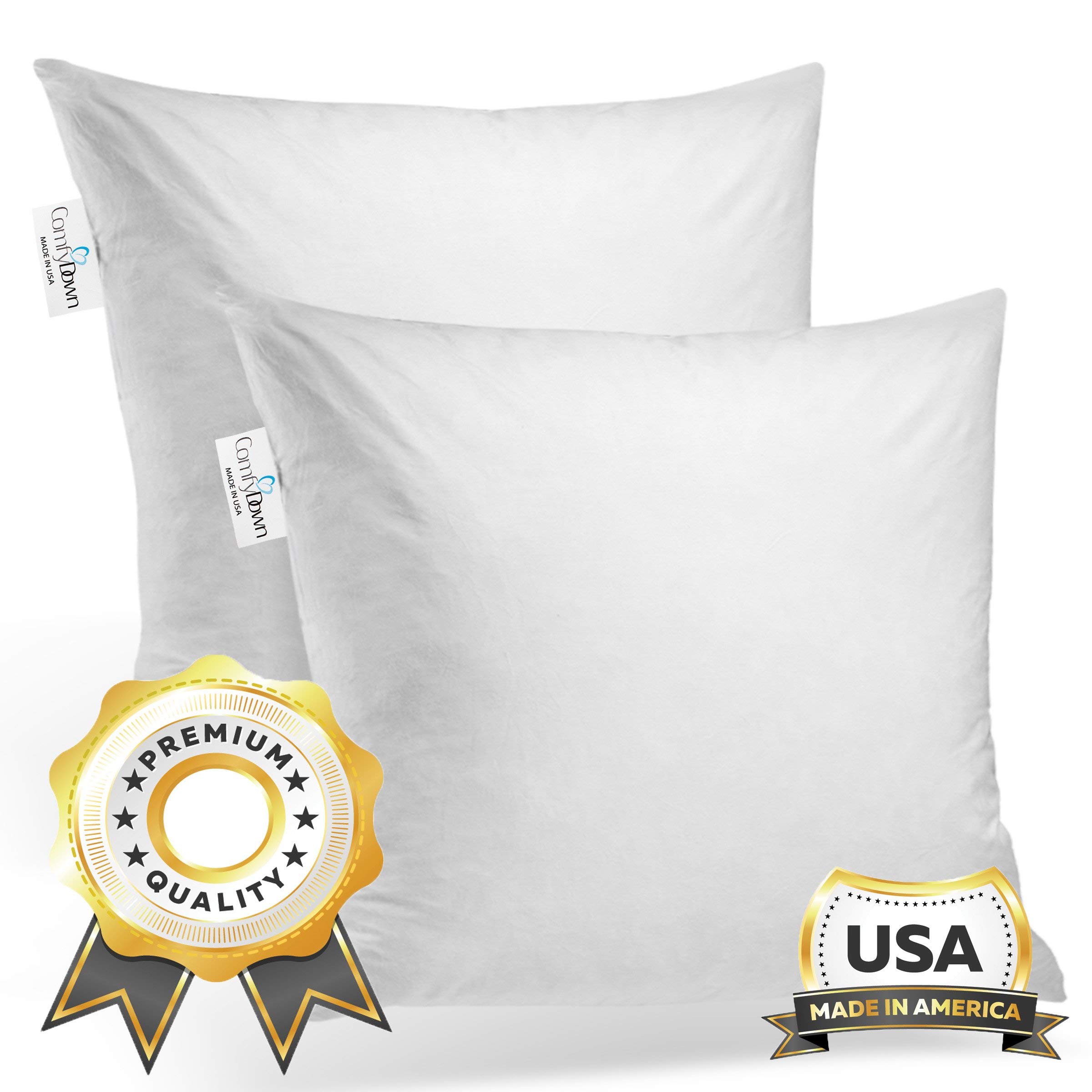 ComfyDown Set of Two, 95% Feather 5% Down, 20 X 20 Square Decorative Pillow Insert, Sham Stuffer - Made in USA