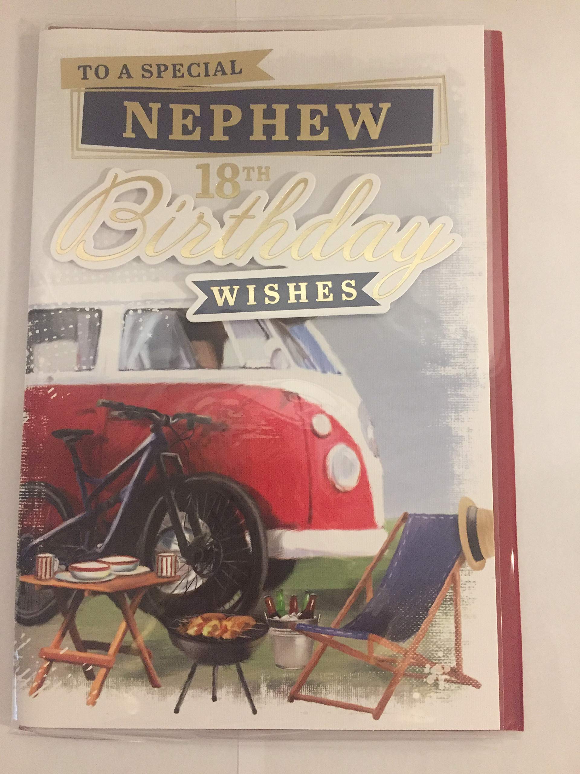 To A Special Nephew 18th Birthday Wishes Birthday Card Age 18 Eighteen Camper Van/Bike/Words 3D/Foil Detail(PRELUDE45515)