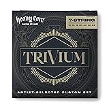 JIM DUNLOP Heavy Core Trivium Signature Guitar
