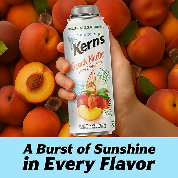 KERN’S PEACH NECTAR LATA BOTELLA – MADE WITH FRESH FRUIT PUREE & PEACH JUICE CONCENTRATE FOR FRUIT SMOOTHIE MIX, COCKTAIL MIXERS & KIDS BEVERAGES – 15.5OZ, 12 PACK RESEALABLE JUICE BOTTLES
