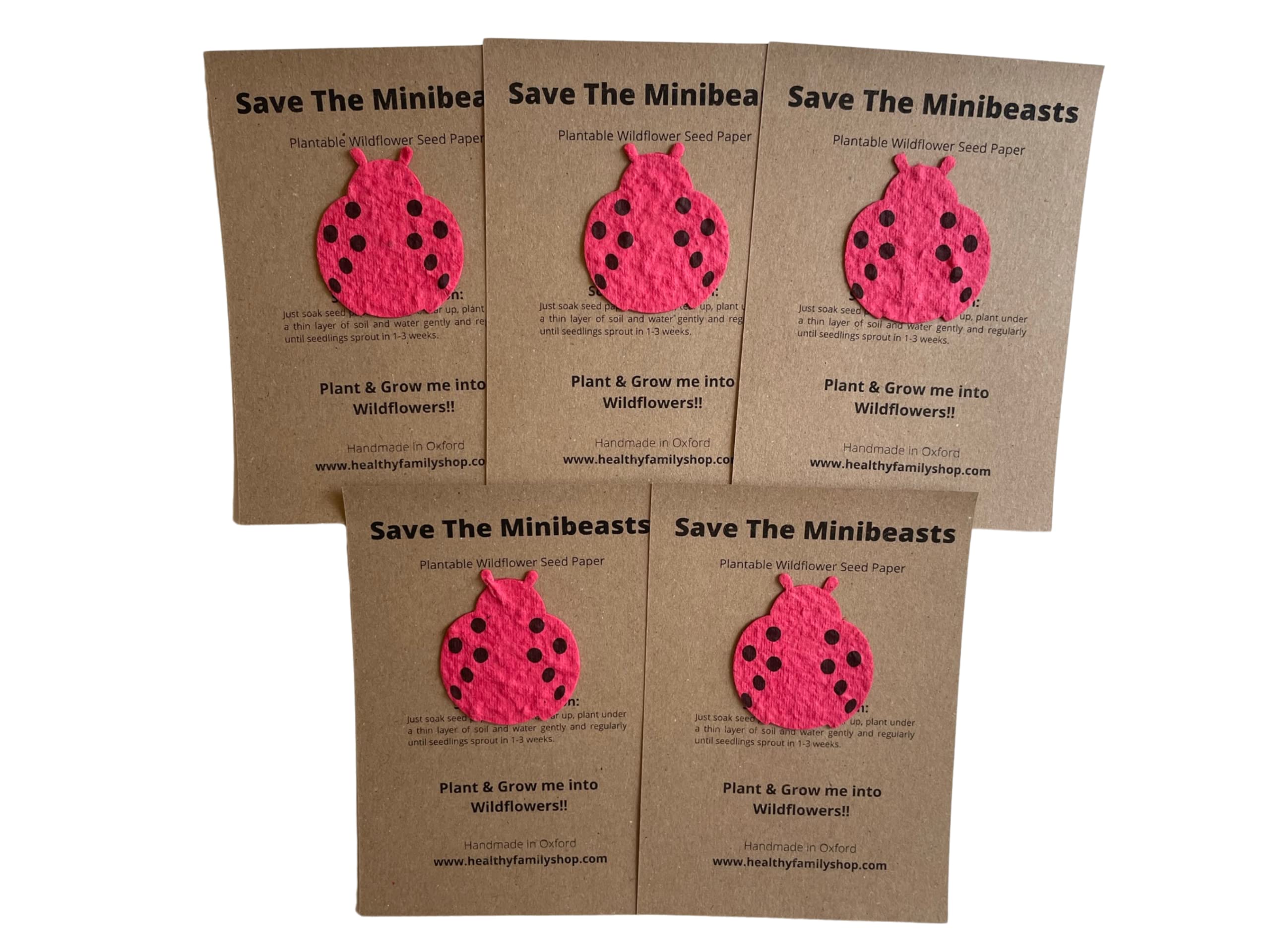 Eco- Friendly Party Bag Fillers. Plastic Free- Party Favours. Seeded Paper Shapes. Plantable seed paper Wildflowers. Craft Paper with Wildflower Seed Mix (Save The Minibeasts)