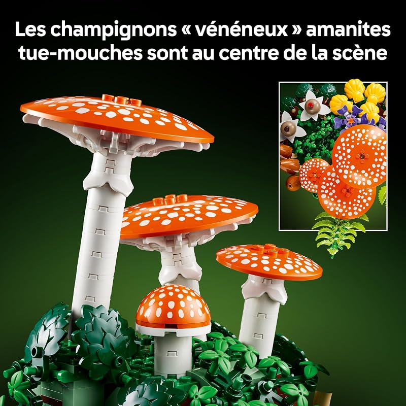 Botanicals Les Champignons des Bois 11505