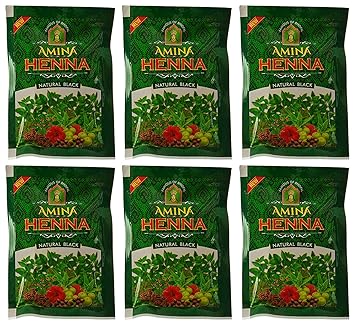Amina Henna Natural Black Hair Colour, 25 g (Pack of 6)