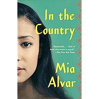 In the Country: Stories book cover