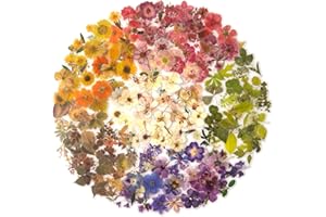 Maxleaf Pressed Flower Stickers Set, 270PCS Dried Flowers Waterproof Stickers Decals Floral Botanical Journaling Stickers for Scrapbook Supplies Junk Journal Bullet Journal Planner Laptops Art Crafts